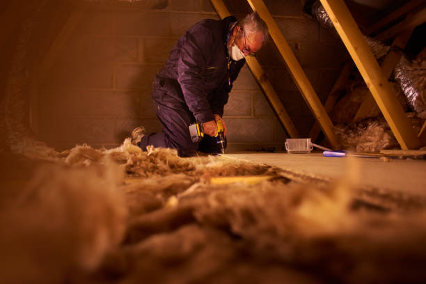 Best Attic Insulation Installation  in Exander City, AL